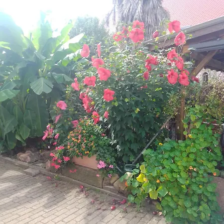 Gaestehaus Brunhilde *