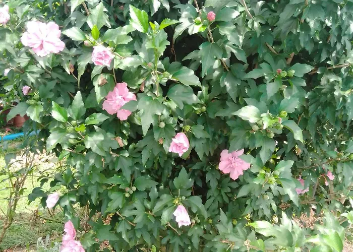 Gaestehaus Brunhilde Appartement *