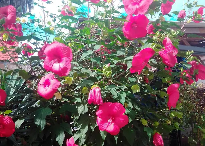 Gaestehaus Brunhilde