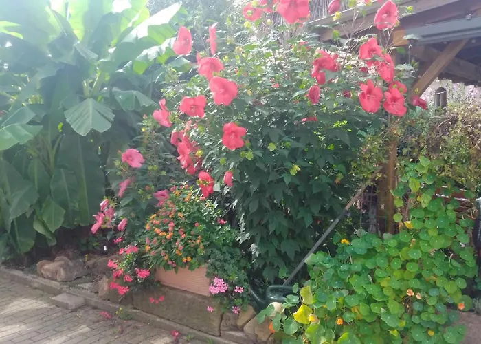 Gaestehaus Brunhilde *